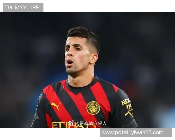 坎塞洛在赛季中的表现分析与未来发展潜力探讨